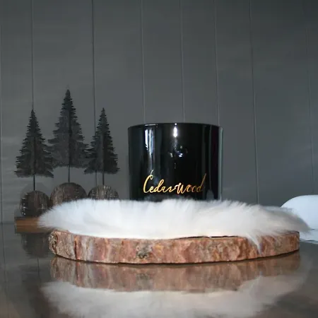 Le Flocon-studio Cabine-balcon 4-6 Pers A 100m Des Pistes شقة *