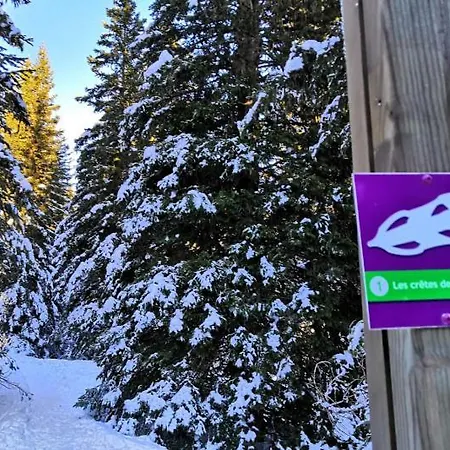 شقة Le Flocon-studio Cabine-balcon 4-6 Pers A 100m Des Pistes *
