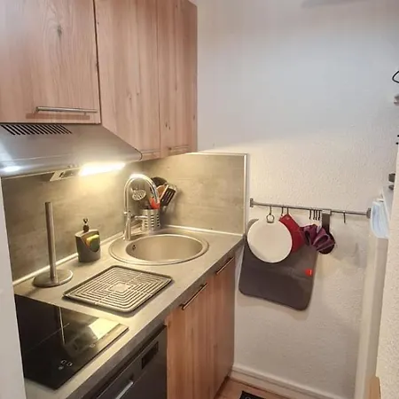Le Flocon-studio Cabine-balcon 4-6 Pers A 100m Des Pistes *