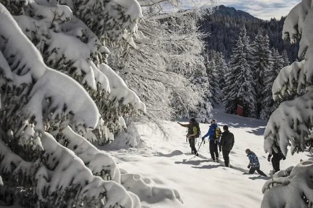 Le Flocon-studio Cabine-balcon 4-6 Pers A 100m Des Pistes