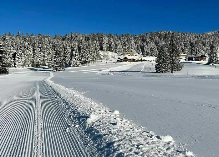 Le Flocon-studio Cabine-balcon 4-6 Pers A 100m Des Pistes * שמרוסה