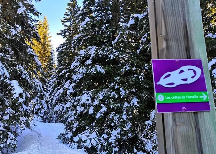 דירה Le Flocon-studio Cabine-balcon 4-6 Pers A 100m Des Pistes *