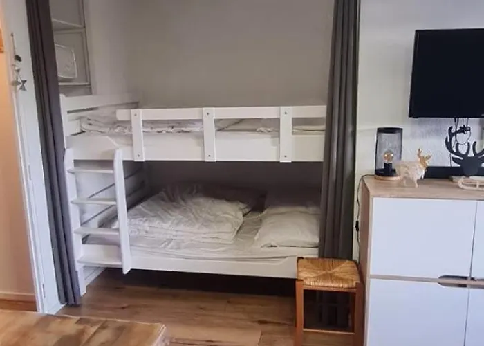 Le Flocon-studio Cabine-balcon 4-6 Pers A 100m Des Pistes *