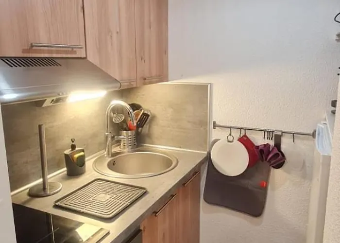 Le Flocon-studio Cabine-balcon 4-6 Pers A 100m Des Pistes *