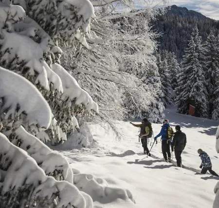 Le Flocon-studio Cabine-balcon 4-6 Pers A 100m Des Pistes