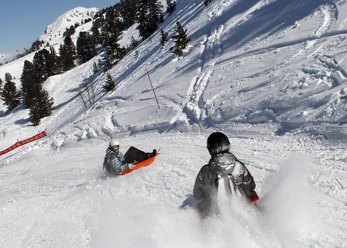 Le Flocon-studio Cabine-balcon 4-6 Pers A 100m Des Pistes * Chamrousse