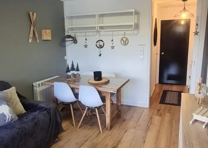 Le Flocon-studio Cabine-balcon 4-6 Pers A 100m Des Pistes Chamrousse